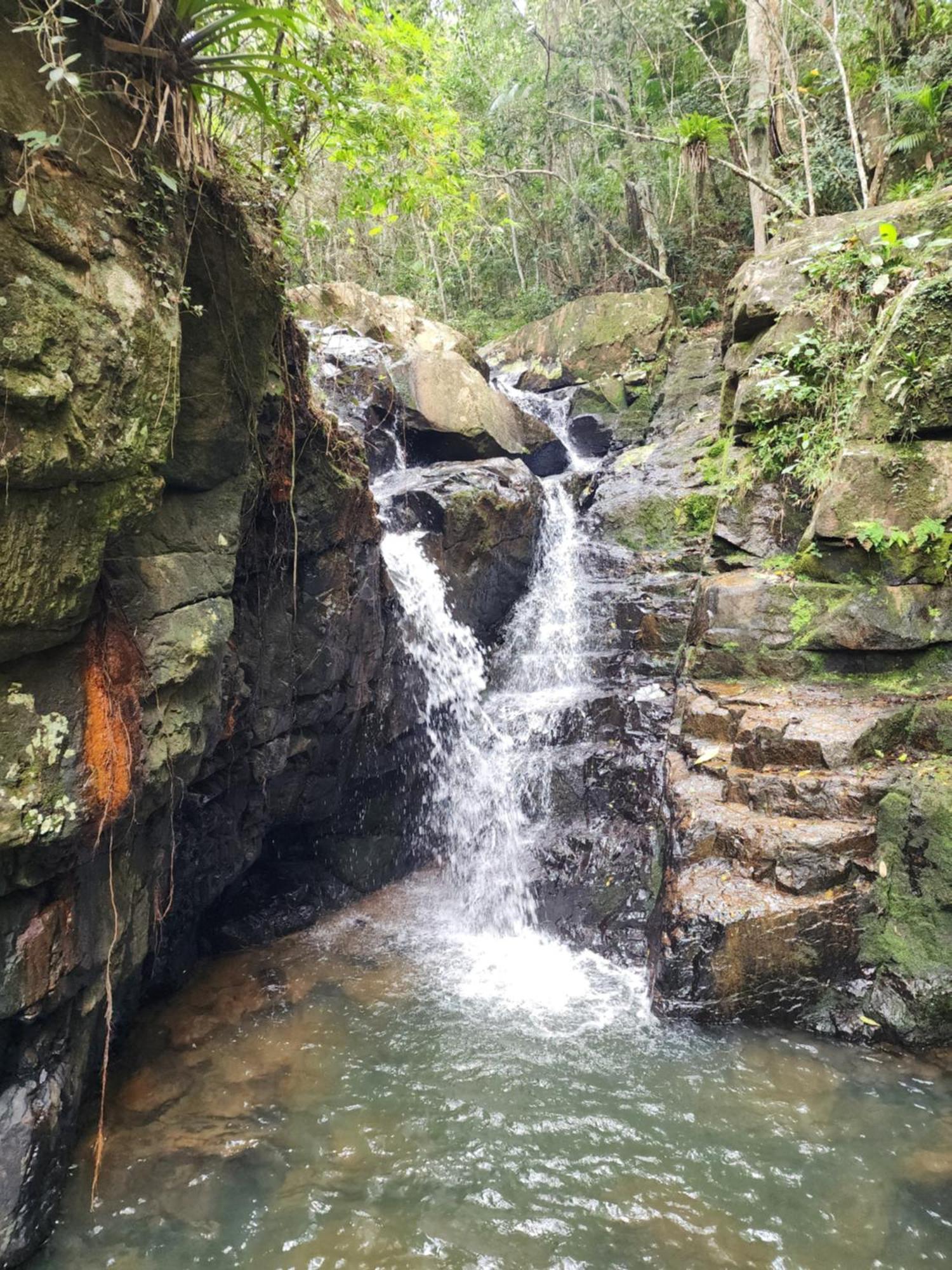 Quintal Residencial Otel Florianópolis Dış mekan fotoğraf